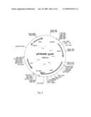 COMPOSITIONS COMPRISING PROMOTER SEQUENCES AND METHODS OF USE diagram and image