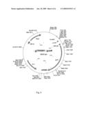 COMPOSITIONS COMPRISING PROMOTER SEQUENCES AND METHODS OF USE diagram and image