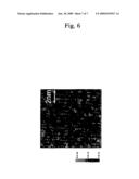 Method for analyzing nucleobases on a single molecular basis diagram and image