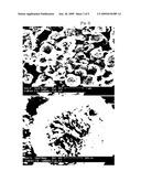 METHOD OF THE PREPARATION OF MICROPOROUS CRYSTALLINE MOLECULAR SIEVE POSSESSING MESOPOROUS FRAMEWORKS diagram and image