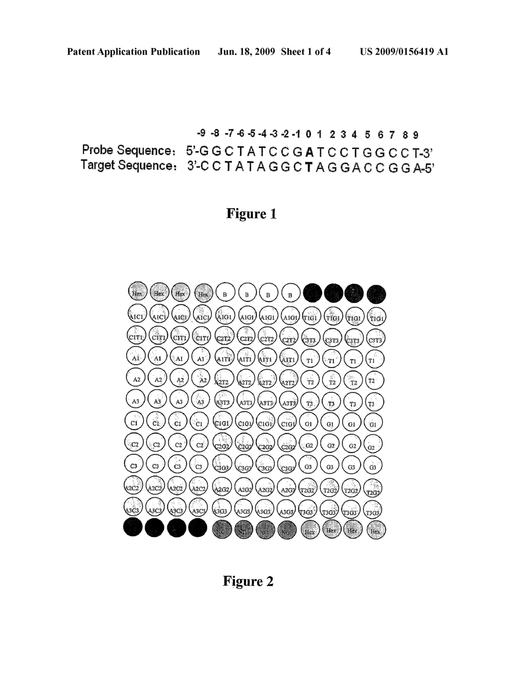 HYBRIDIZATION METHODS USING NATURAL BASE MISMATCHES - diagram, schematic, and image 02