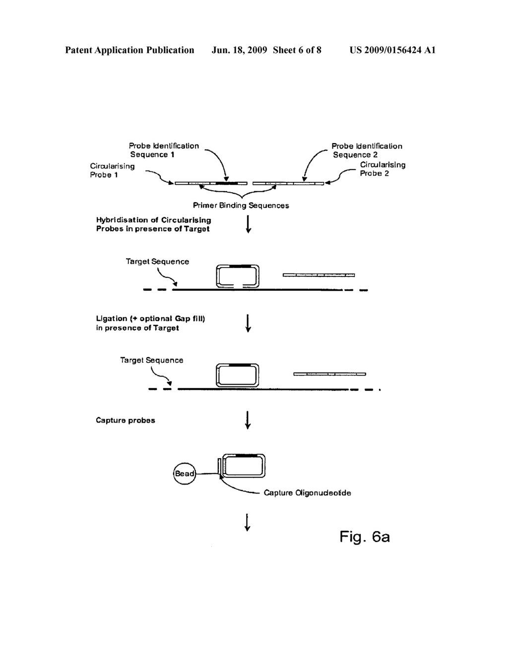 USE OF MASS LABELED PROBES TO DETECT TARGET NUCLEIC ACIDS USING MASS SPECTROMETRY - diagram, schematic, and image 07