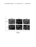 Compositions and Methods for Regulating Inflammatory Responses diagram and image