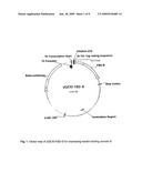 METHOD FOR COUPLING KERATIN-BINDING POLYPEPTIDES WITH EFFECTOR MOLECULES WHICH SUPPORT CARBOXYLIC GROUPS OR SULFONIC ACID GROUPS diagram and image