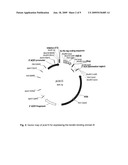 METHOD FOR COUPLING KERATIN-BINDING POLYPEPTIDES WITH EFFECTOR MOLECULES WHICH SUPPORT CARBOXYLIC GROUPS OR SULFONIC ACID GROUPS diagram and image