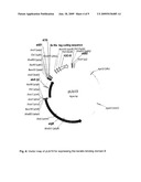 METHOD FOR COUPLING KERATIN-BINDING POLYPEPTIDES WITH EFFECTOR MOLECULES WHICH SUPPORT CARBOXYLIC GROUPS OR SULFONIC ACID GROUPS diagram and image