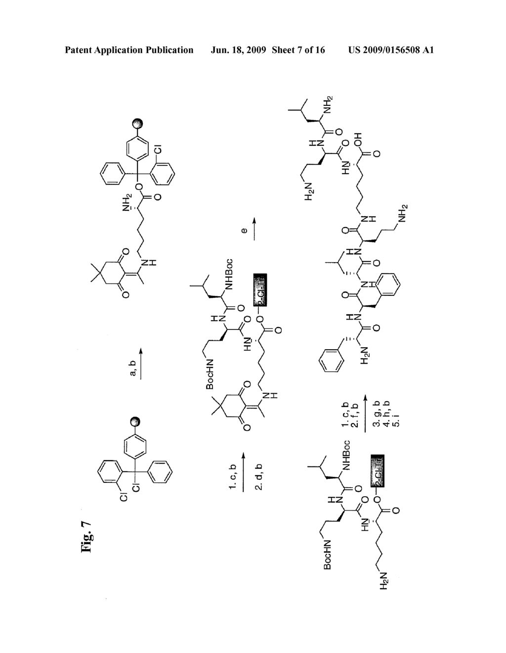 SYNTHETIC PEPTIDE AMIDES AND DIMERIC FORMS THEREOF - diagram, schematic, and image 08