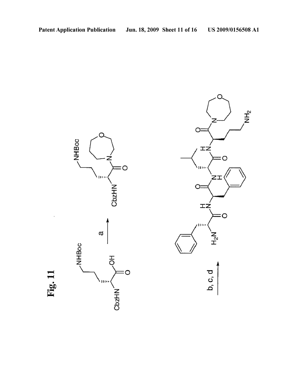 SYNTHETIC PEPTIDE AMIDES AND DIMERIC FORMS THEREOF - diagram, schematic, and image 12