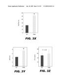 USE OF NOTCH SIGNALING REGULATORS FOR MODULATING OSTEOGENESIS diagram and image