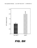 USE OF NOTCH SIGNALING REGULATORS FOR MODULATING OSTEOGENESIS diagram and image