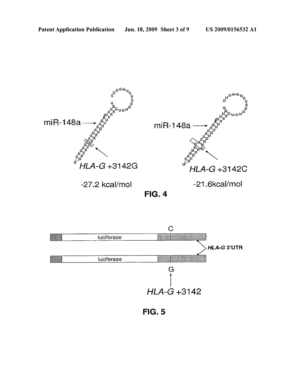 SNP BINDING SITE FOR microRNAs IN HLA-G - diagram, schematic, and image 04