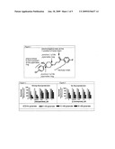 BUTYROPHENONES AND SIGMA-1 RECEPTOR ANTAGONISTS PROTECT AGAINST OXIDATIVE-STRESS diagram and image