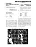 Fluorinated transition metal catalysts and formation thereof diagram and image