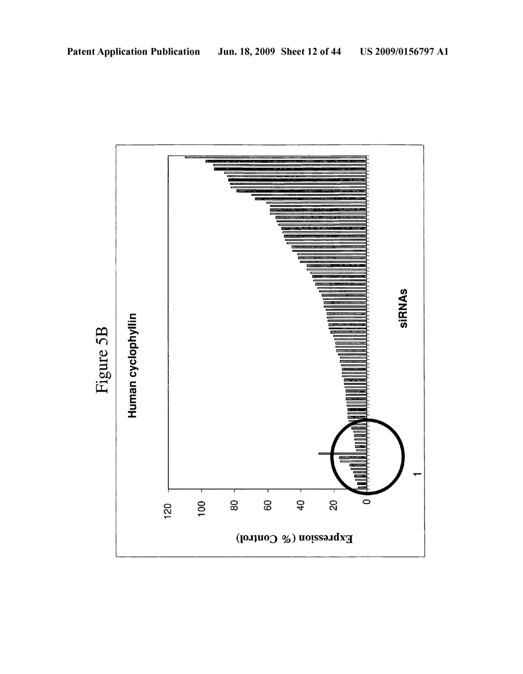 siRNA Targeting Hypoxia-inducible Factor 1 - diagram, schematic, and image 13