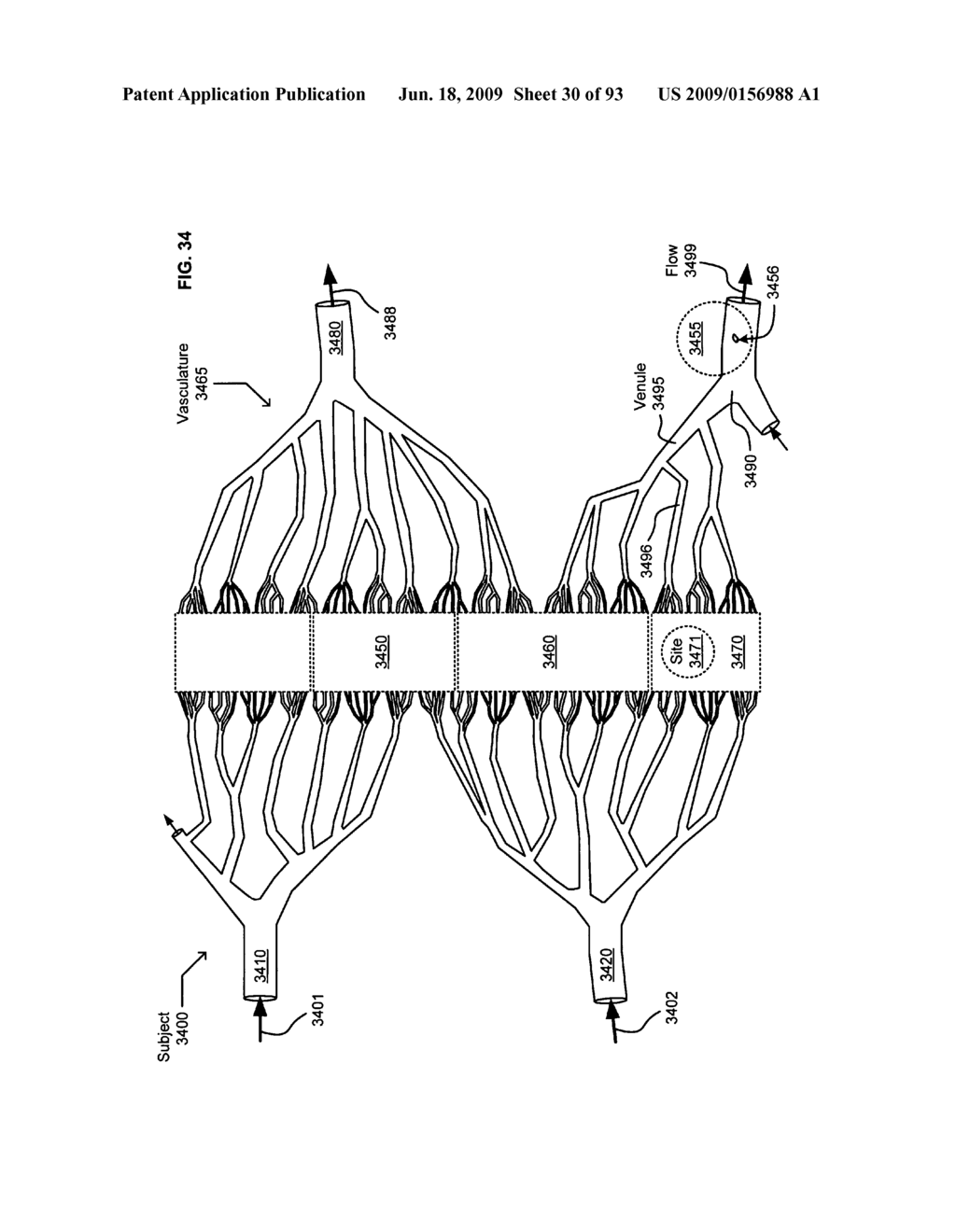 Circulatory monitoring systems and methods - diagram, schematic, and image 31