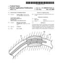 Degradable Endoprosthesis diagram and image