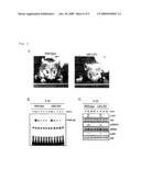 TLR ligand and IL-1 Response-Injured Animal Model diagram and image