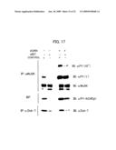 DNA ENCODING POLYPEPTIDE CAPABLE OF MODULATING MUSCLE-SPECIFIC TYROSINE KINASE ACTIVITY diagram and image