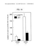 DNA ENCODING POLYPEPTIDE CAPABLE OF MODULATING MUSCLE-SPECIFIC TYROSINE KINASE ACTIVITY diagram and image