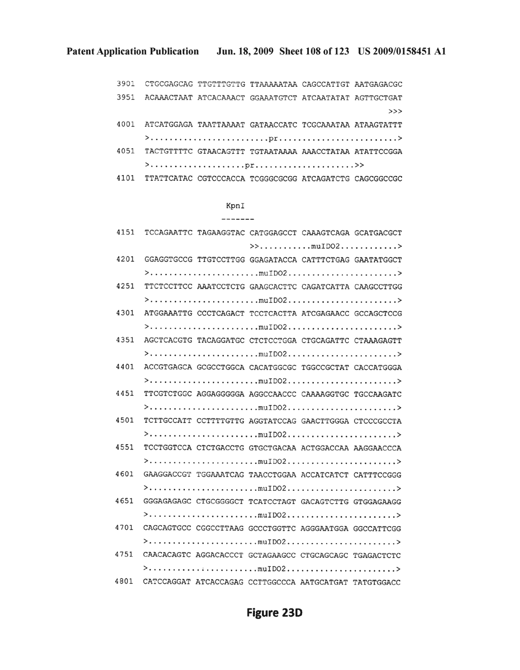 Indoleamine 2,3-Dioxygenase-2 - diagram, schematic, and image 109