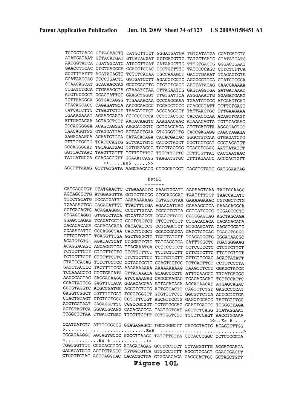 Indoleamine 2,3-Dioxygenase-2 - diagram, schematic, and image 35