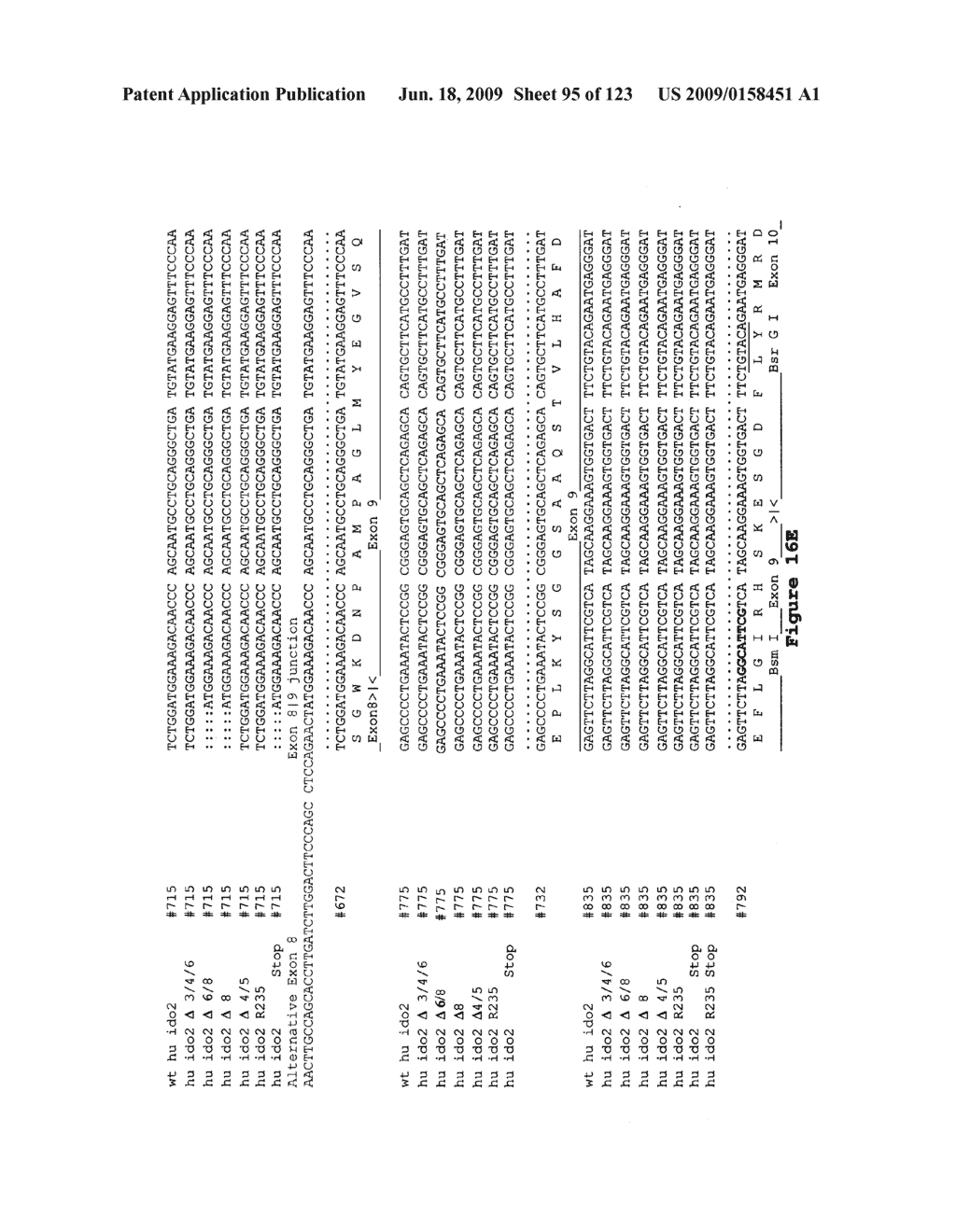 Indoleamine 2,3-Dioxygenase-2 - diagram, schematic, and image 96