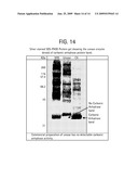 BLOOD UREA NITROGEN (BUN) SENSOR diagram and image