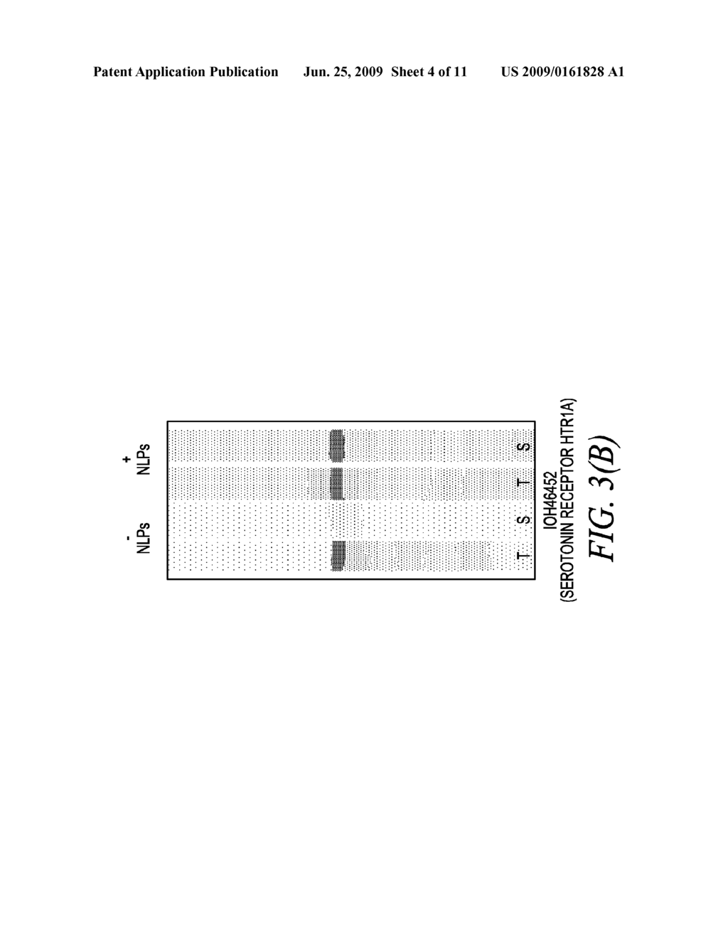 ISOLATED PHOSPHOLIPID-PROTEIN PARTICLES - diagram, schematic, and image 05