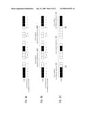 IMAGE PROCESSING APPARATUS AND IMAGE PROCESSING METHOD diagram and image