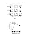 Oligonucleotide or Its Functional Homologue, a Composition Comprising the Same and a Method of Treating B Cell Neoplasm diagram and image