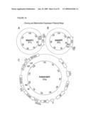 ANTI-IGF-I RECEPTOR ANTIBODY diagram and image