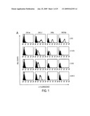 TREATMENT OF TUMORS USING SPECIFIC ANTI-L1 ANTIBODY diagram and image