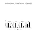 TREATMENT OF TUMORS USING SPECIFIC ANTI-L1 ANTIBODY diagram and image