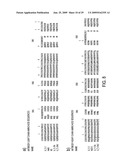 TREATMENT OF TUMORS USING SPECIFIC ANTI-L1 ANTIBODY diagram and image