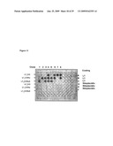 TREATMENT OF TUMORS USING SPECIFIC ANTI-L1 ANTIBODY diagram and image