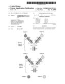 BIVALENT, BISPECIFIC ANTIBODIES diagram and image