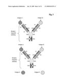 BIVALENT, BISPECIFIC ANTIBODIES diagram and image