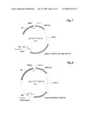 BIVALENT, BISPECIFIC ANTIBODIES diagram and image