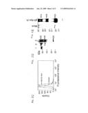 Apo-2 ligand diagram and image