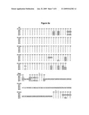 OPTIMIZED CA9 ANTIBODIES AND METHODS OF USING THE SAME diagram and image