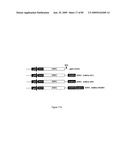 Compositions of influenza viral proteins and methods of use thereof diagram and image