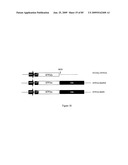 Compositions of influenza viral proteins and methods of use thereof diagram and image