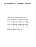 Compositions of influenza viral proteins and methods of use thereof diagram and image