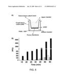 Single-domain brain-targeting antibody fragments derived from LLAMA antibodies diagram and image