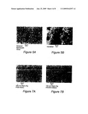 NANOSCALE METAL PASTE FOR INTERCONNECT AND METHOD OF USE diagram and image