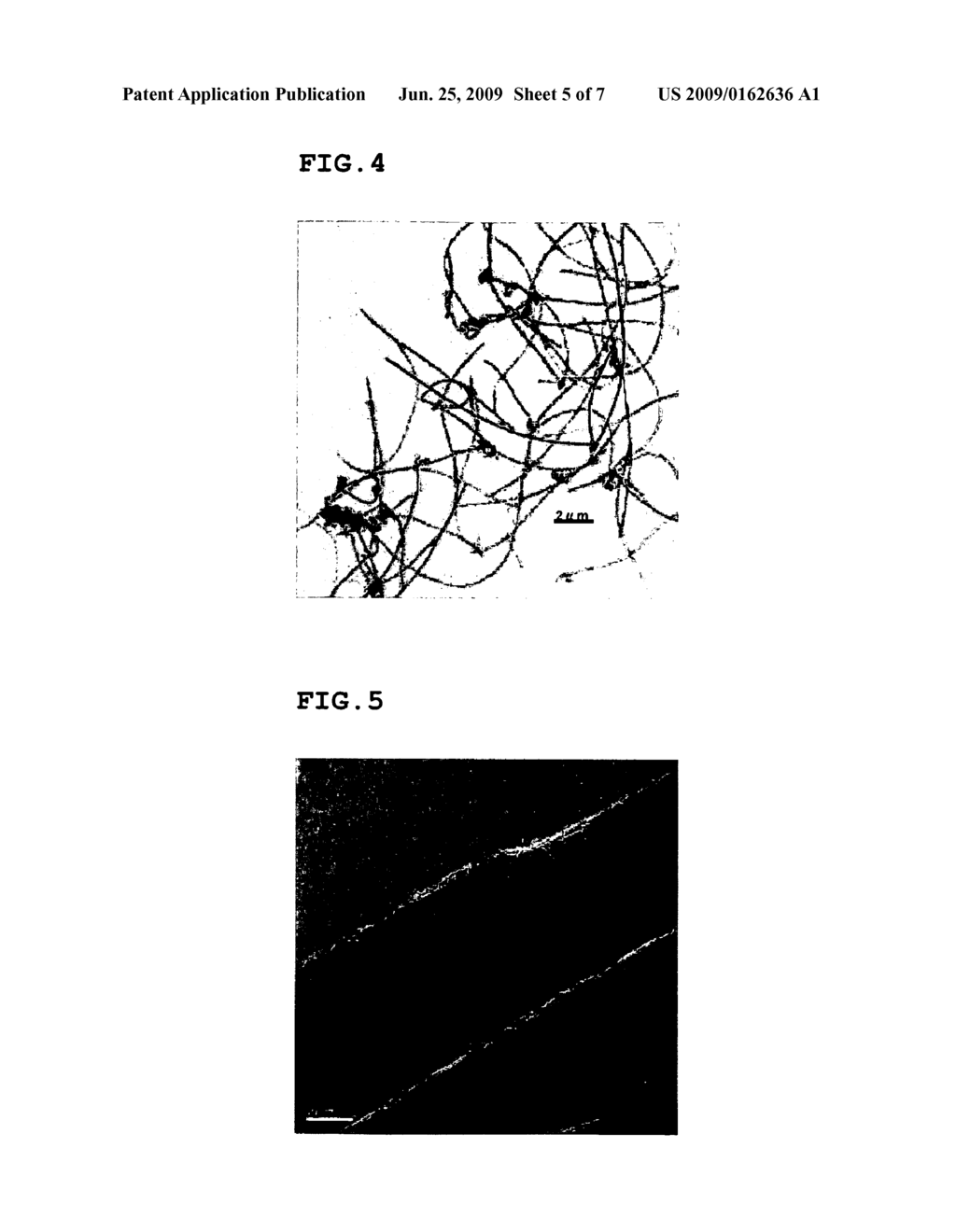 CARBON FIBROUS STRUCTURE - diagram, schematic, and image 06