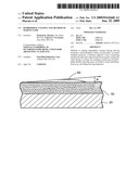 Hydrophilic coating and method of making same diagram and image