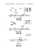  HUMAN PARVOVIRUS diagram and image