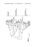  HUMAN PARVOVIRUS diagram and image