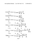 Functional viral vectors for the overexpression or extinction of particular genes in plants, and applications diagram and image